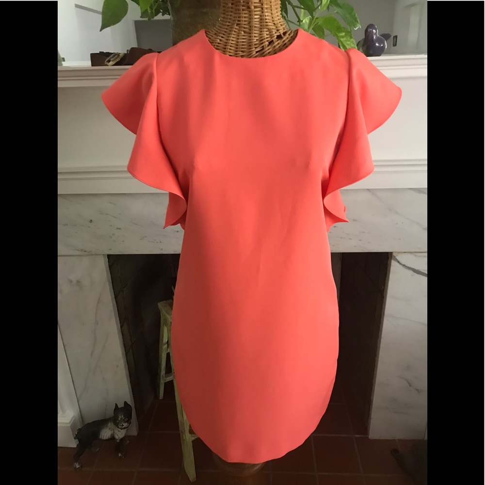 Sheath Dress Ruffled Sleeves